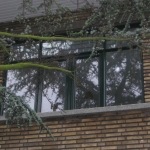 den haag ananasstraat (2)