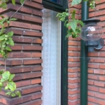 den haag goudrenetstraat 554 (2)