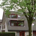 rotterdam (5)