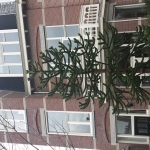 den haag frankenslag