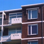den haag ranonkelstraat