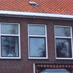 delft (6)