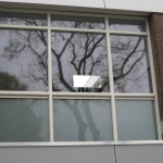 hoogvliet kruisnetlaan