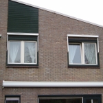 krimpen aan den ijssel lupine (4)
