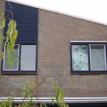 krimpen aan den ijssel lupine