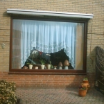 spijkenisse (11)