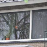 spijkenisse (6)