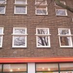 den haag dierenselaan