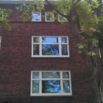 den haag hoytemastraat